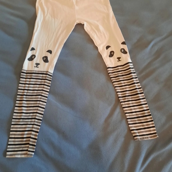 Jelly the Pug outfit size 12 - Picture 5 of 9